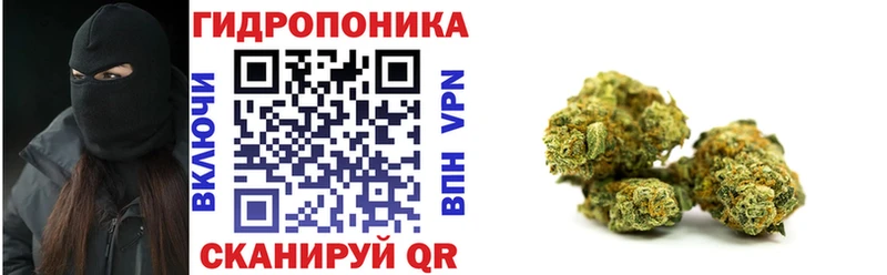 Конопля планчик Сафоново